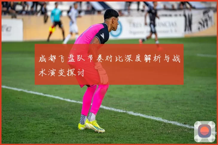 成都飞盘队节奏对比深度解析与战术演变探讨
