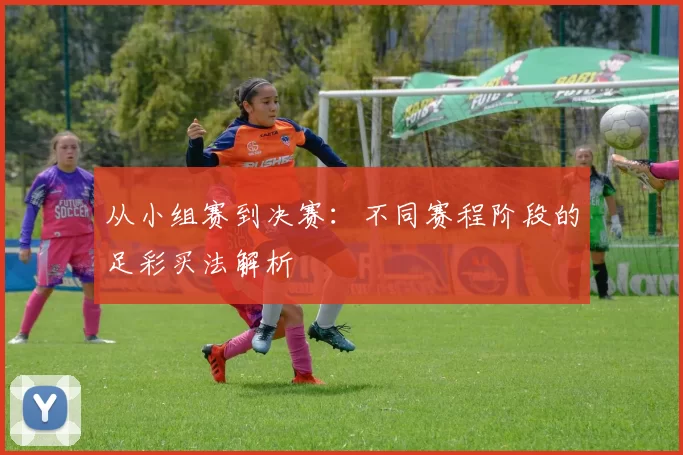 从小组赛到决赛:不同赛程阶段的足彩买法解析