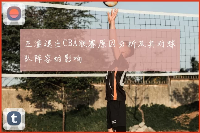 王潼退出CBA联赛原因分析及其对球队阵容的影响