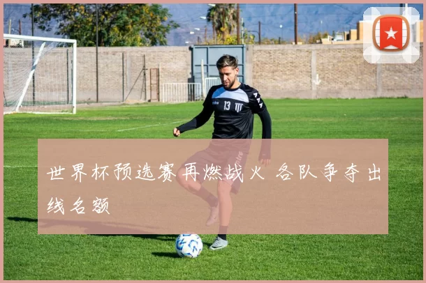 世界杯预选赛再燃战火 各队争夺出线名额