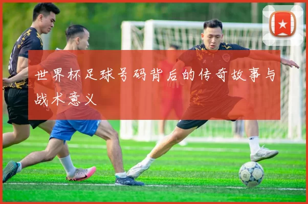 世界杯足球号码背后的传奇故事与战术意义