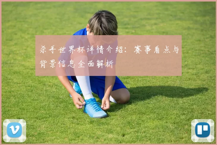 杀手世界杯详情介绍：赛事看点与背景信息全面解析