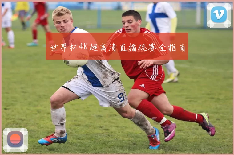 世界杯4K超高清直播观赛全指南