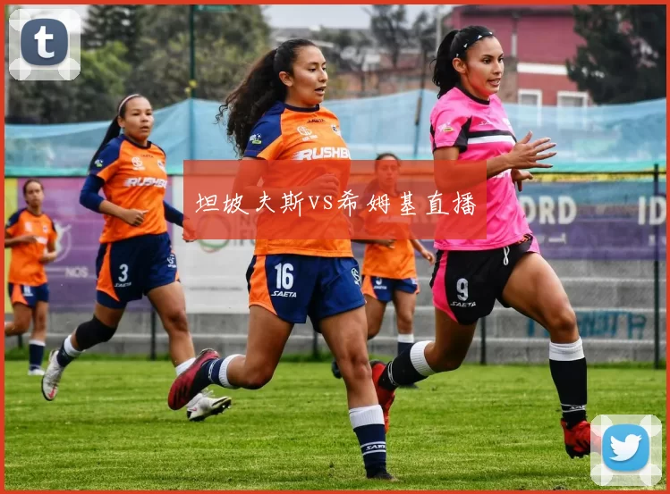 坦坡夫斯vs希姆基直播