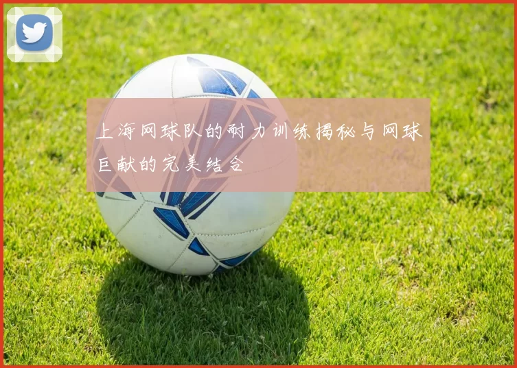 上海网球队的耐力训练揭秘与网球巨献的完美结合