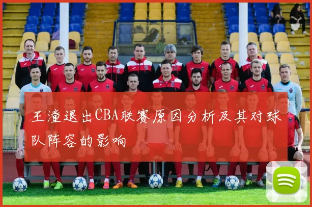 王潼退出CBA联赛原因分析及其对球队阵容的影响