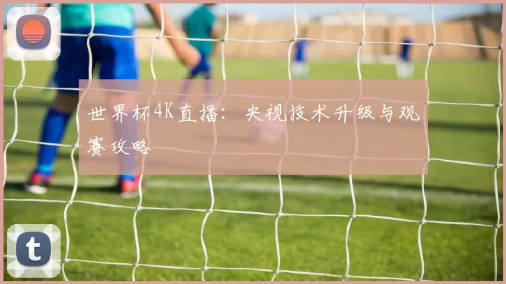 世界杯4K直播:央视技术升级与观赛攻略